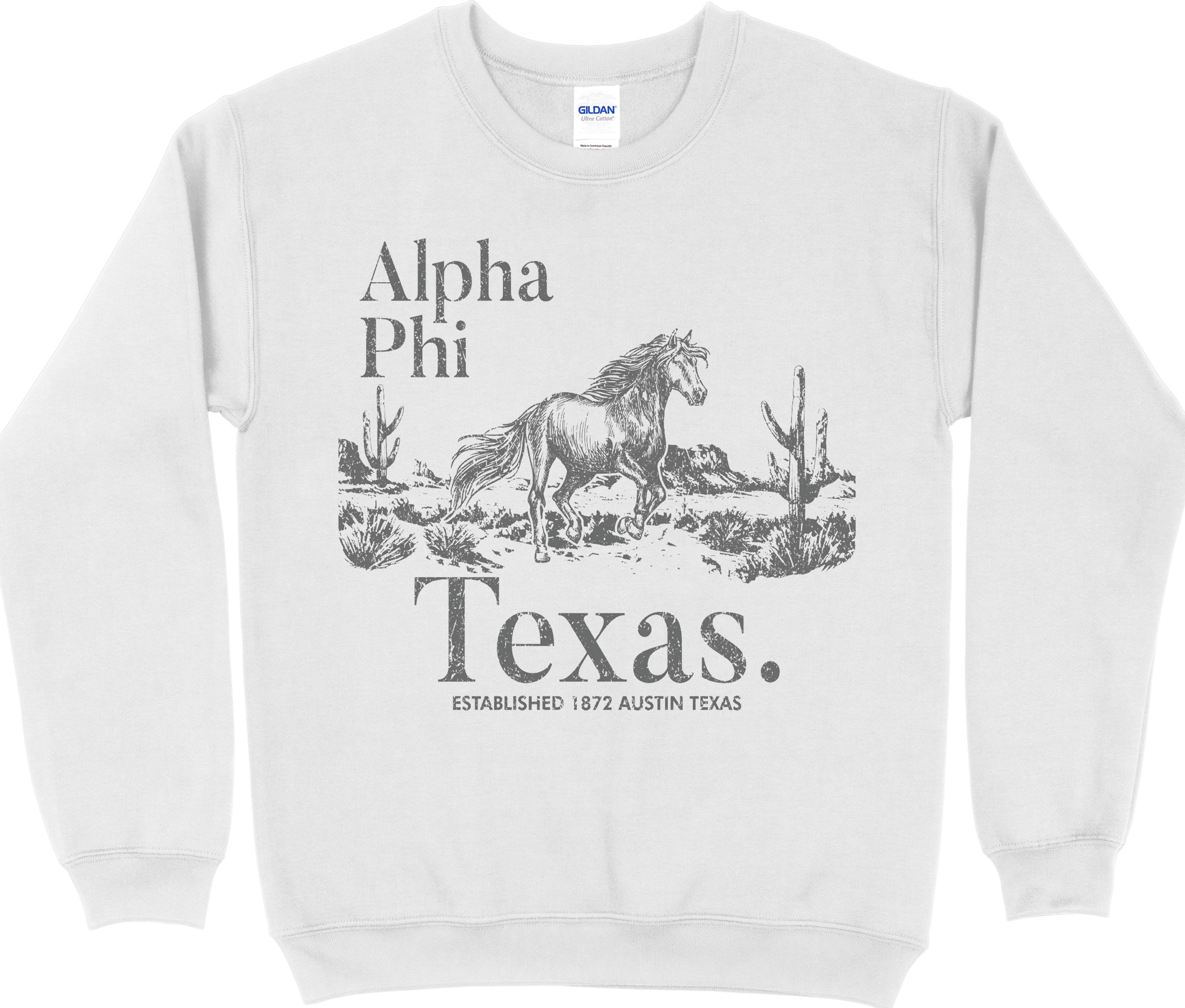 Desert Sweatshirt