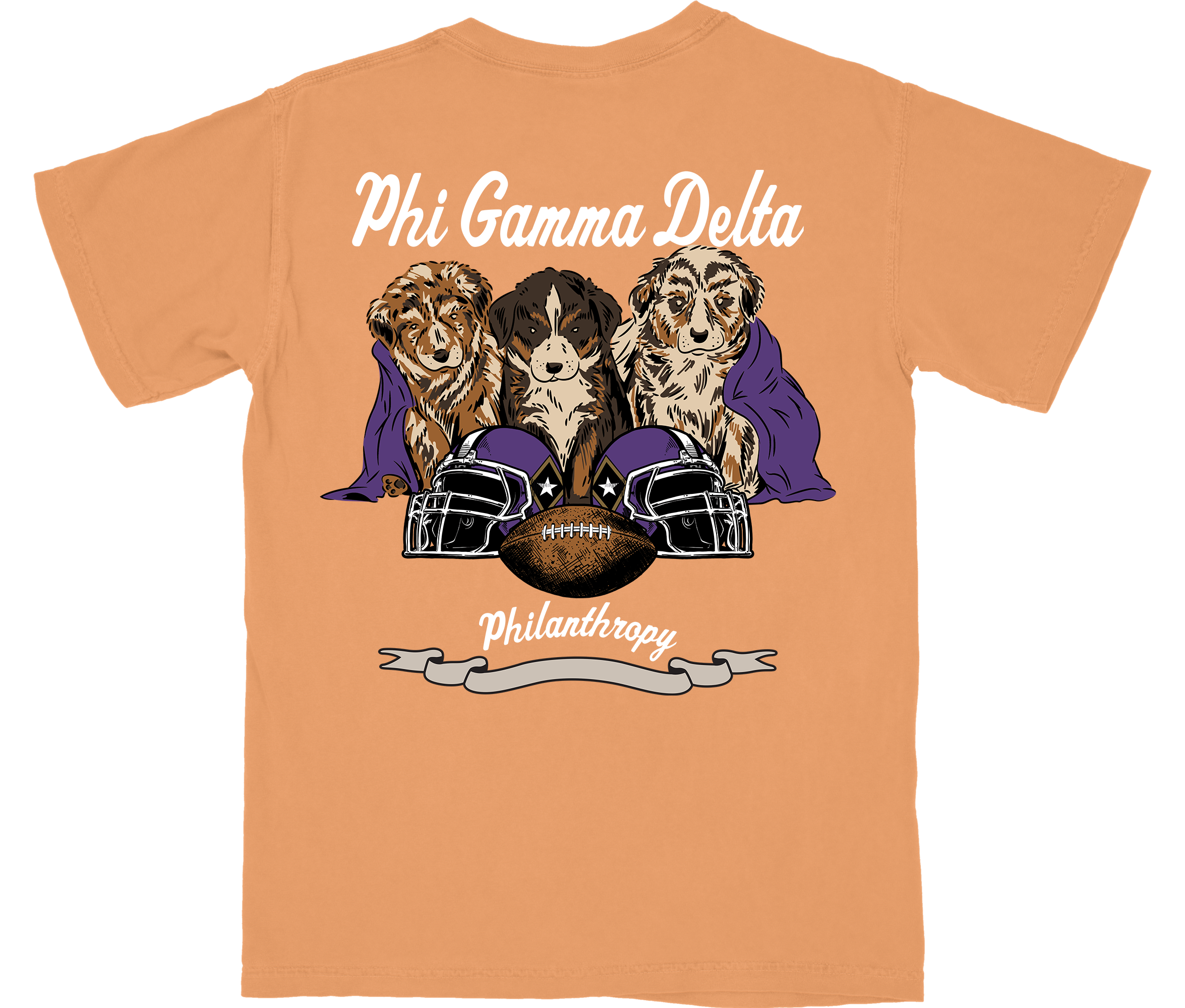 FIJI Philanthropy Shirt